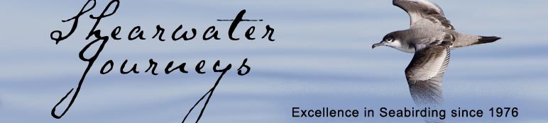 Shearwater Journeys,  P.O. Box 190, Hollister, CA 95024 USA Phone: 831-637-8527