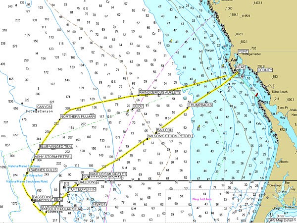 Marine Chart w/waypoints