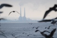 Moss Landing